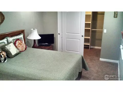 200 Whitney Bay, Windsor, CO 80550 photo 21