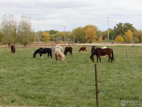 4121 Golden St, Evans, CO 80620 photo 23