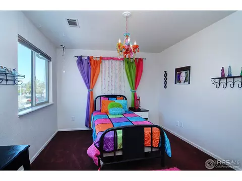 981 Columbine Dr, Windsor, CO 80550 photo 11