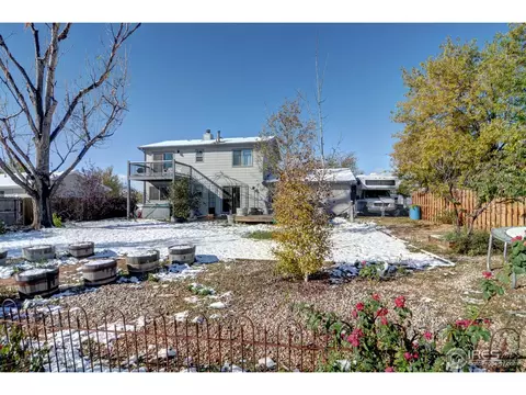 981 Columbine Dr, Windsor, CO 80550 photo 17