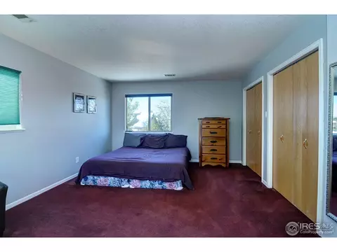 981 Columbine Dr, Windsor, CO 80550 photo 8