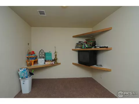 981 Columbine Dr, Windsor, CO 80550 photo 14