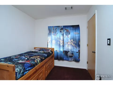981 Columbine Dr, Windsor, CO 80550 photo 12