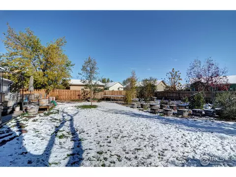 981 Columbine Dr, Windsor, CO 80550 photo 16