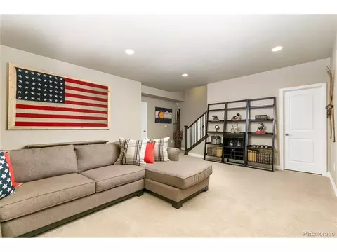 8481 E 54th Dr, Denver, CO 80238 photo 24