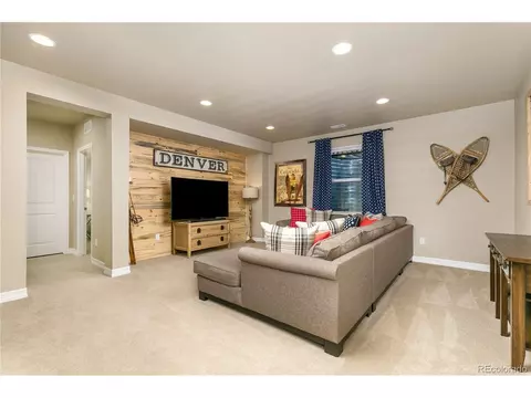 8481 E 54th Dr, Denver, CO 80238 photo 23
