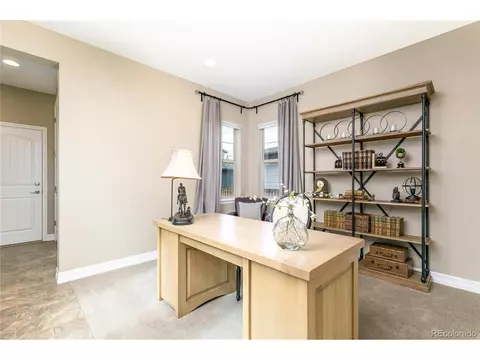 8481 E 54th Dr, Denver, CO 80238 photo 11