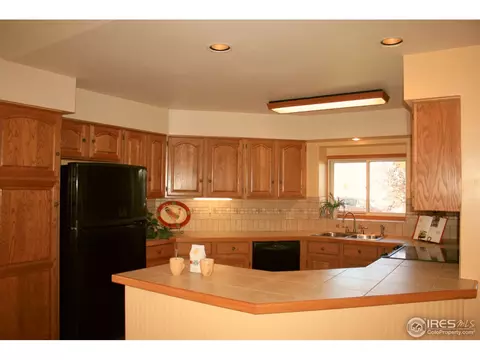 1255 Honeysuckle Ct, Windsor, CO 80550 photo 4