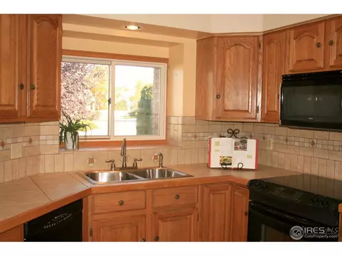 1255 Honeysuckle Ct, Windsor, CO 80550 photo 20