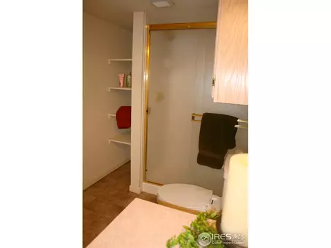 1255 Honeysuckle Ct, Windsor, CO 80550 photo 19