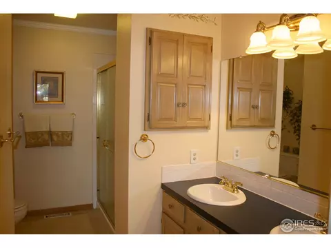 1255 Honeysuckle Ct, Windsor, CO 80550 photo 10
