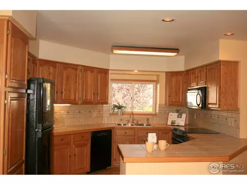 1255 Honeysuckle Ct, Windsor, CO 80550 photo 5