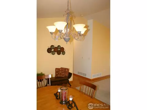 1255 Honeysuckle Ct, Windsor, CO 80550 photo 21
