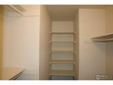 1255 Honeysuckle Ct, Windsor, CO 80550 photo 11