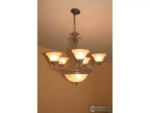 1255 Honeysuckle Ct, Windsor, CO 80550 photo 8