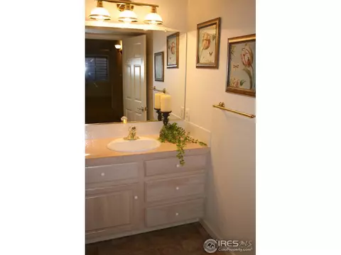 1255 Honeysuckle Ct, Windsor, CO 80550 photo 18