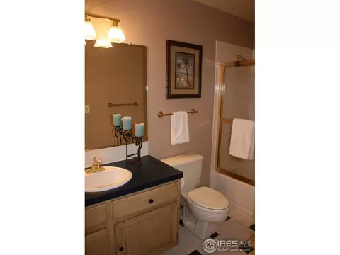 1255 Honeysuckle Ct, Windsor, CO 80550 photo 13
