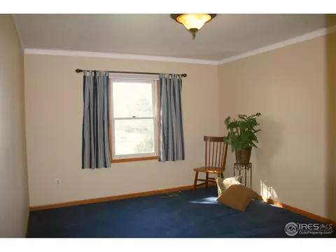 1255 Honeysuckle Ct, Windsor, CO 80550 photo 12