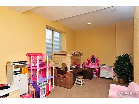 2075 E 133rd Way, Thornton, CO 80241 photo 19