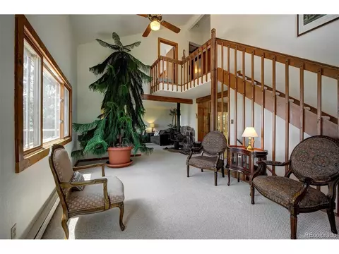 11579 Apache Trl, Conifer, CO 80433 photo 7