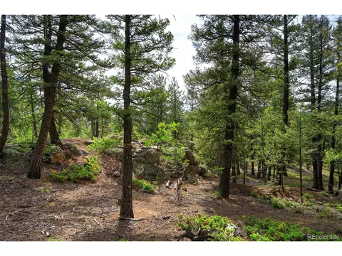 11579 Apache Trl, Conifer, CO 80433 photo 35