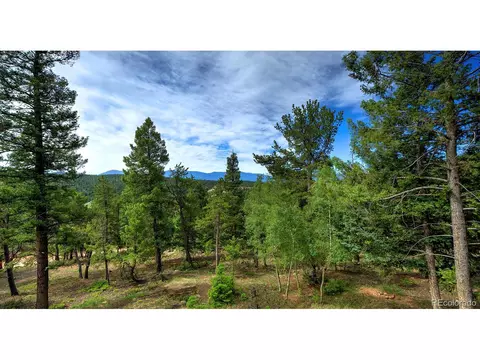 11579 Apache Trl, Conifer, CO 80433 photo 37