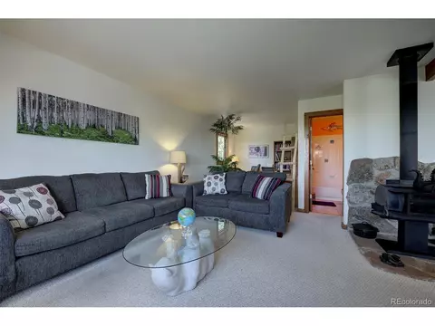 11579 Apache Trl, Conifer, CO 80433 photo 9