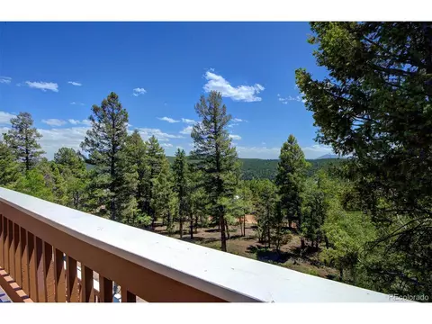 11579 Apache Trl, Conifer, CO 80433 photo 19