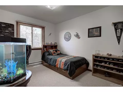 11579 Apache Trl, Conifer, CO 80433 photo 22