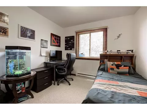 11579 Apache Trl, Conifer, CO 80433 photo 23