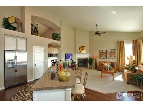 8669 Raspberry Dr, Frederick, CO 80504 photo 8