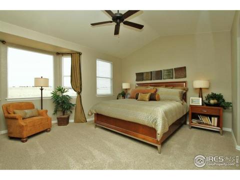 8669 Raspberry Dr, Frederick, CO 80504 photo 12