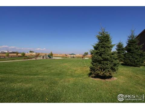 8669 Raspberry Dr, Frederick, CO 80504 photo 17