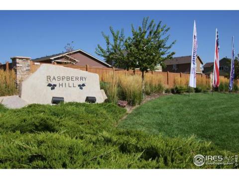 8669 Raspberry Dr, Frederick, CO 80504 photo 14