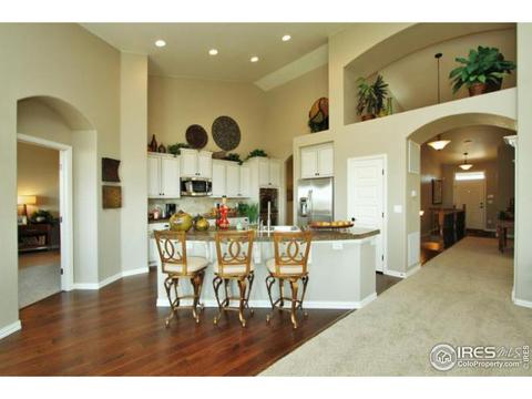 8669 Raspberry Dr, Frederick, CO 80504 photo 6