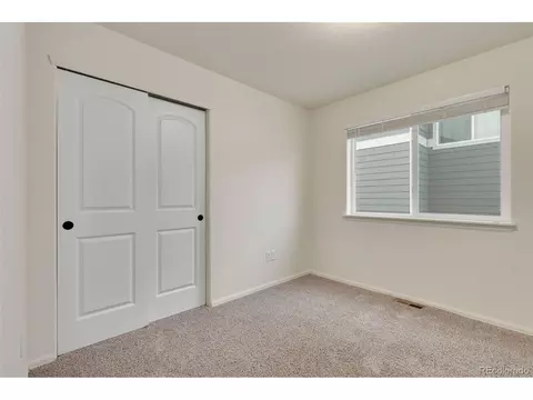 713 Cavern St, Severance, CO 80550 photo 26