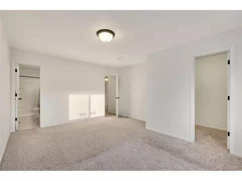 713 Cavern St, Severance, CO 80550 photo 23