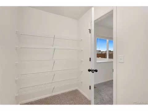 713 Cavern St, Severance, CO 80550 photo 25