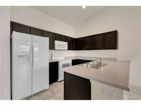 713 Cavern St, Severance, CO 80550 photo 10