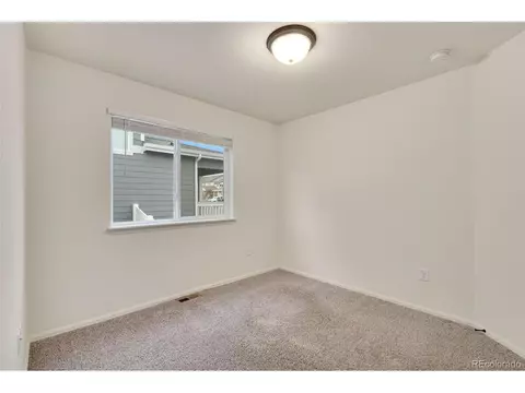 713 Cavern St, Severance, CO 80550 photo 27