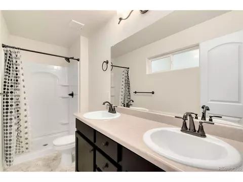 713 Cavern St, Severance, CO 80550 photo 24