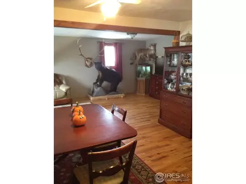 3408 Orchard Dr, Laporte, CO 80535 photo 7