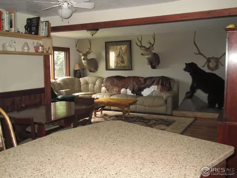 3408 Orchard Dr, Laporte, CO 80535 photo 5