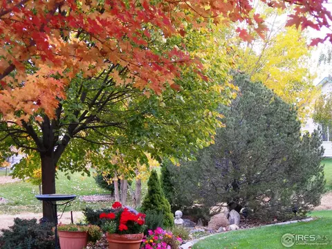 622 Trappers Pl, Windsor, CO 80550 photo 2