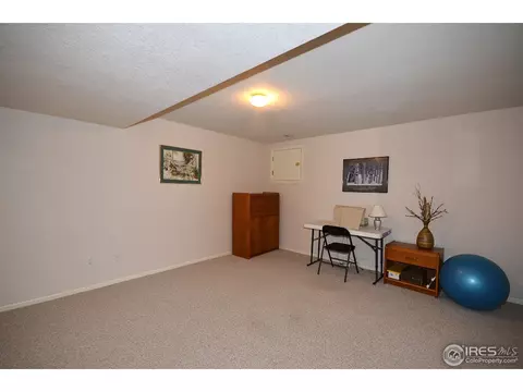 622 Trappers Pl, Windsor, CO 80550 photo 20