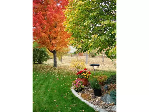 622 Trappers Pl, Windsor, CO 80550 photo 24