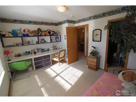1201 E 96th Pl, Thornton, CO 80229 photo 9