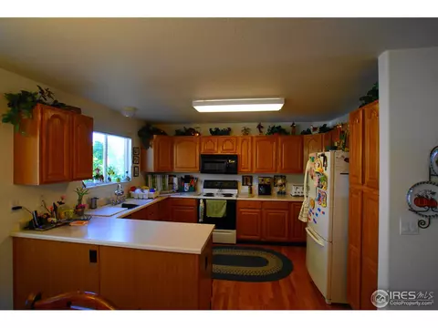 1201 E 96th Pl, Thornton, CO 80229 photo 4