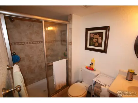 1201 E 96th Pl, Thornton, CO 80229 photo 12