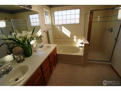 1201 E 96th Pl, Thornton, CO 80229 photo 8